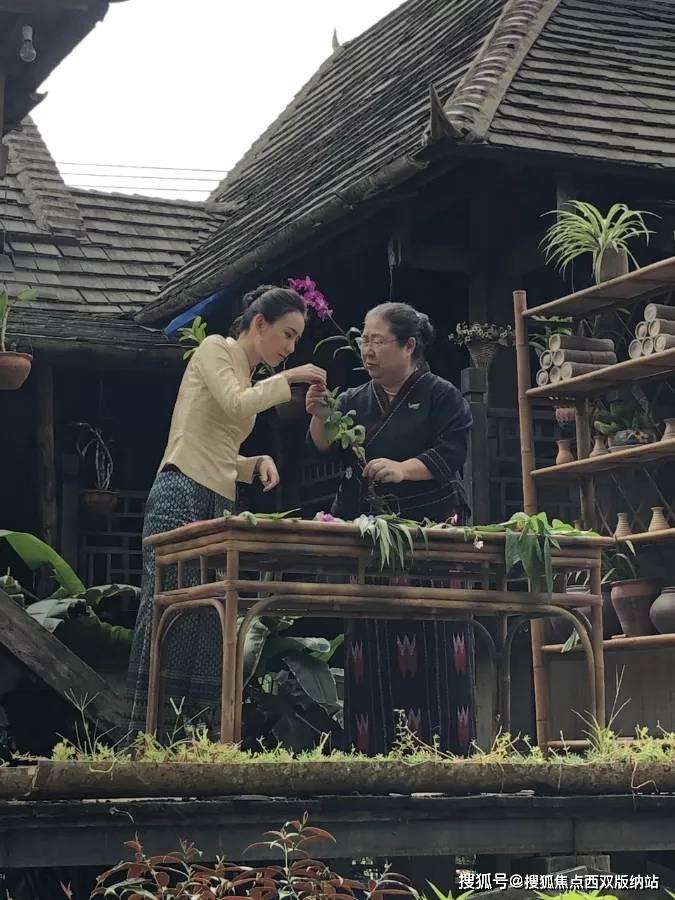 水系战士