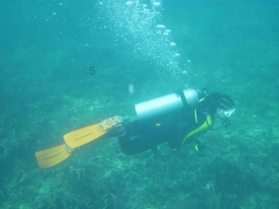 暗黑传说单机版
