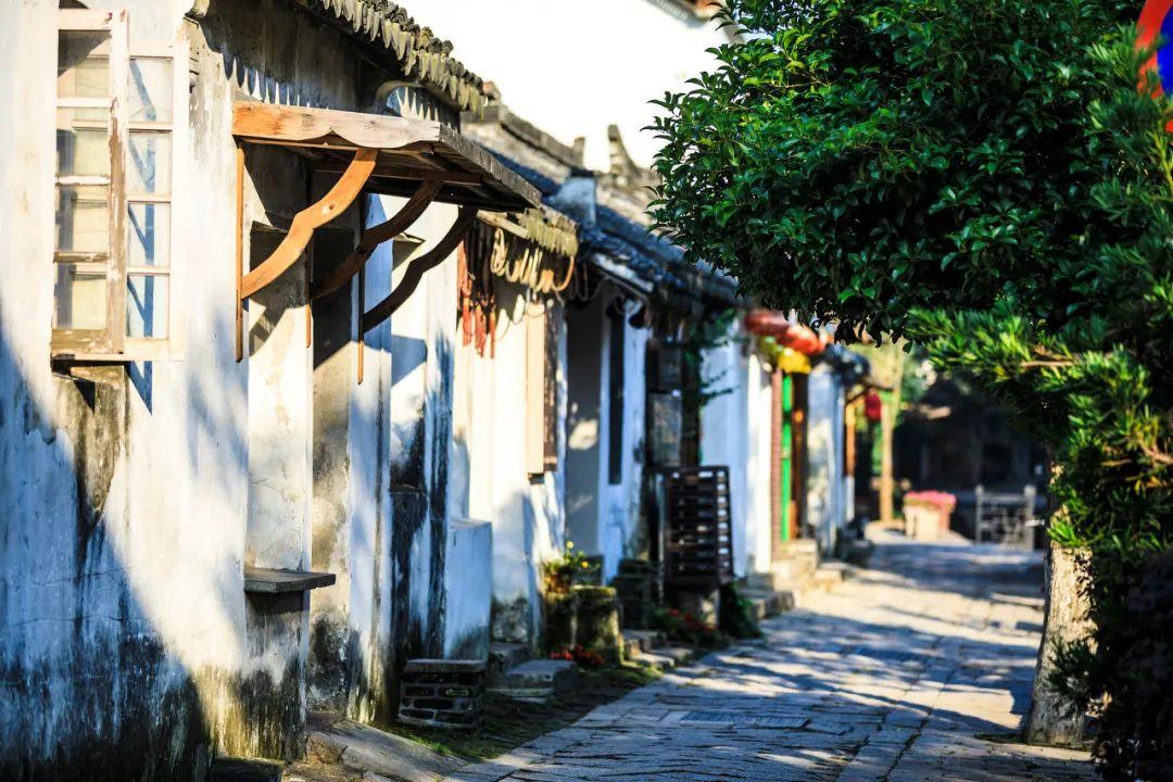 母猪产后拉稀仔猪也跟着拉稀该怎么办游戏画面